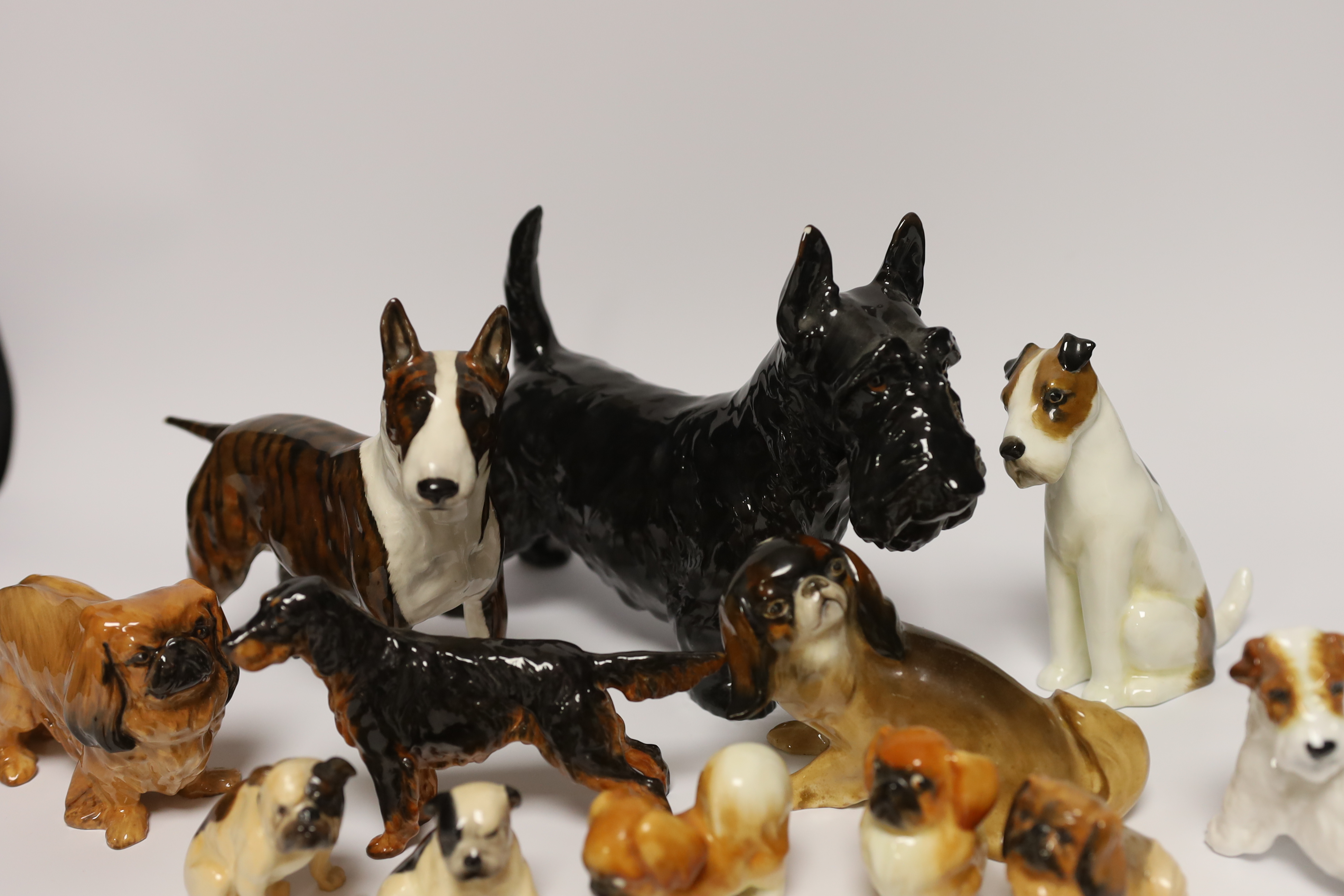 Fourteen Royal Doulton figures of dogs including Alborne Arthur